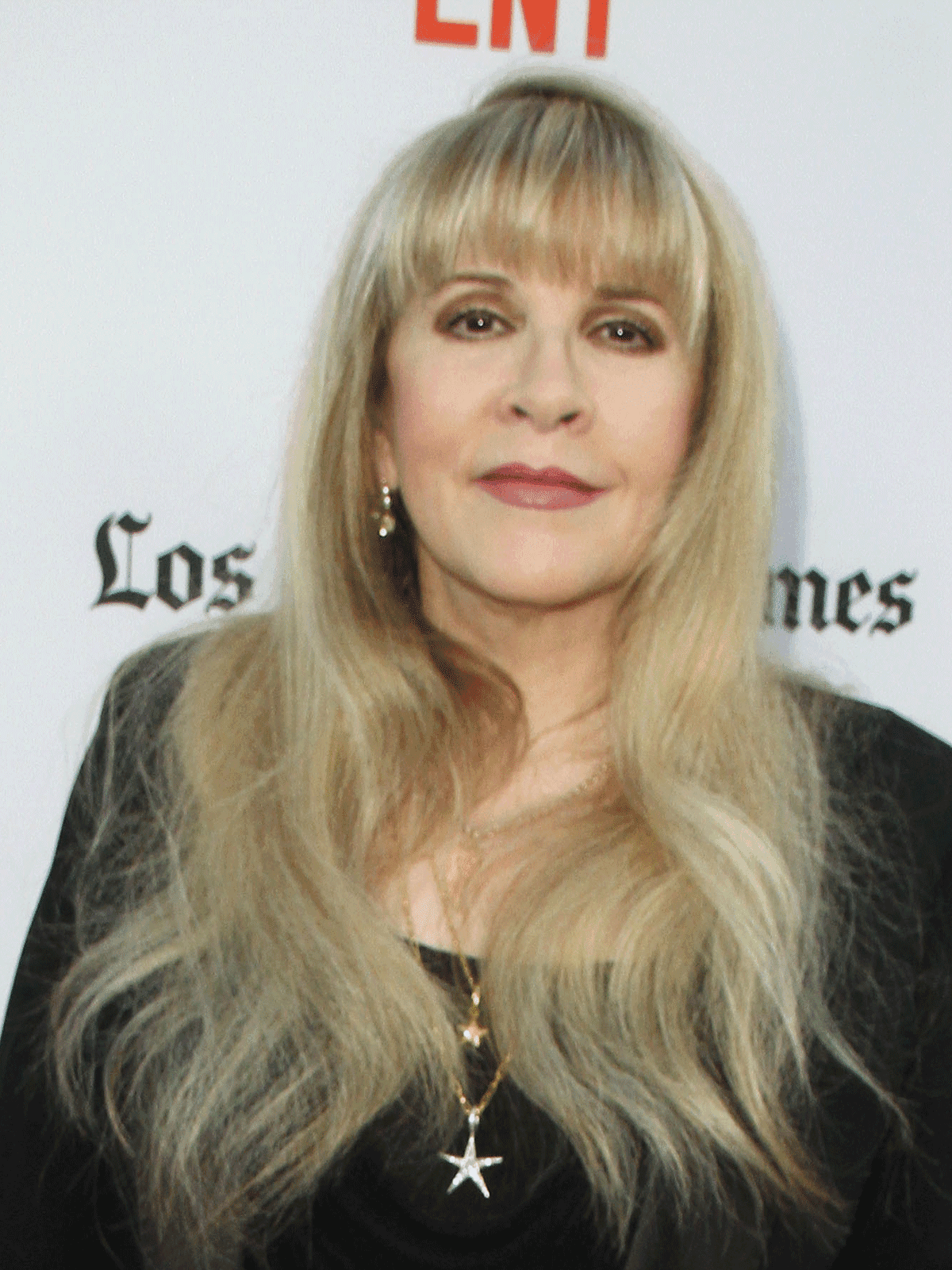 Stevie Nicks