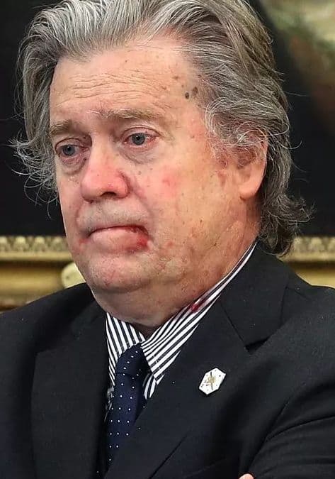 Steve Bannon