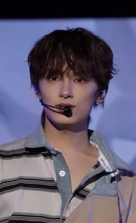 Wen Junhui
