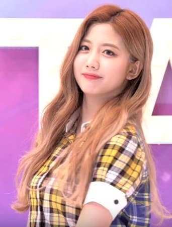 Choi Yu-ju