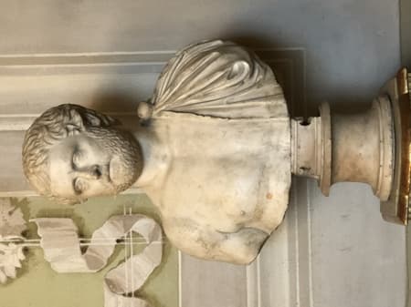 Ovid