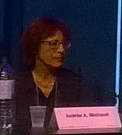 Andrée A. Michaud