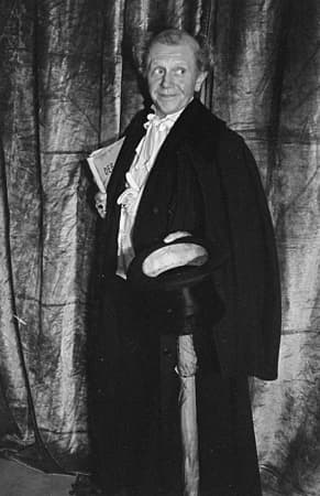 Hans Hermann Schaufuß