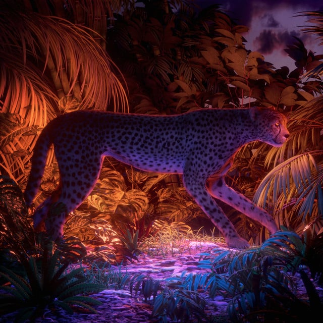 Guépard - Cover