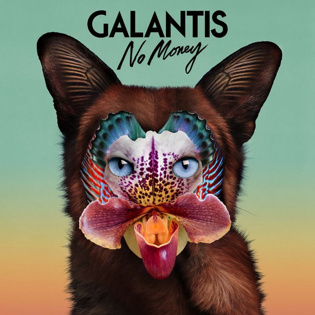 No Money - Cover