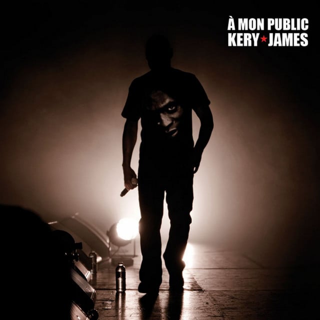 À mon public (Live au Zénith de Paris le 18 décembre 2009) - Cover