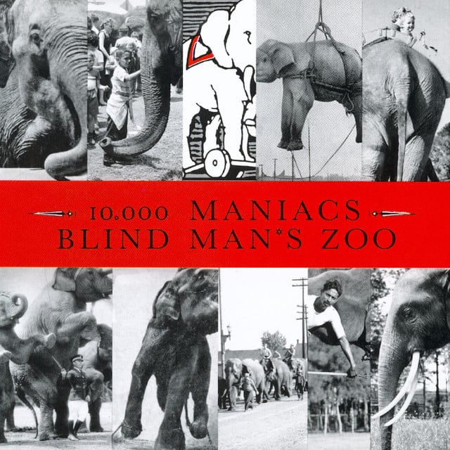 Blind Man's Zoo - Cover