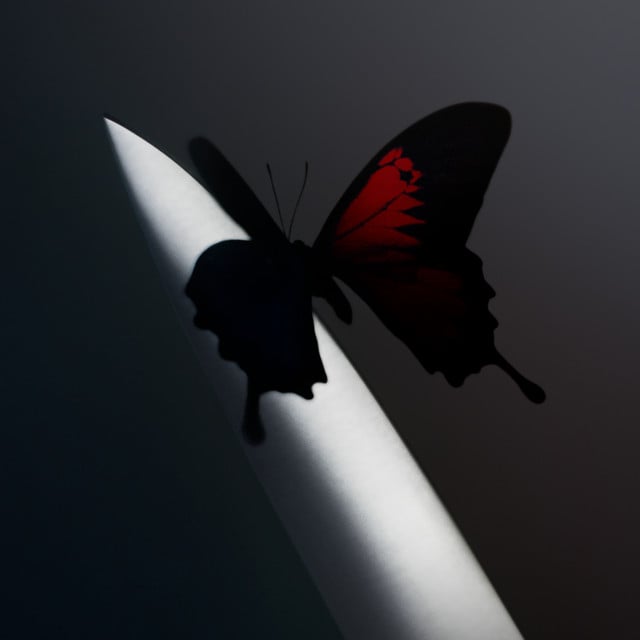Cooped Up - Cover