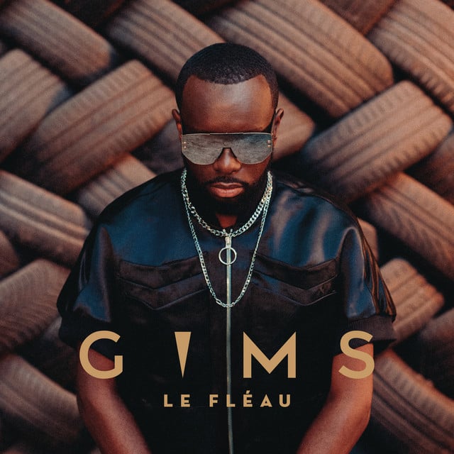 LE FLÉAU - Cover