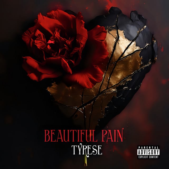 Beautiful Pain - Cover