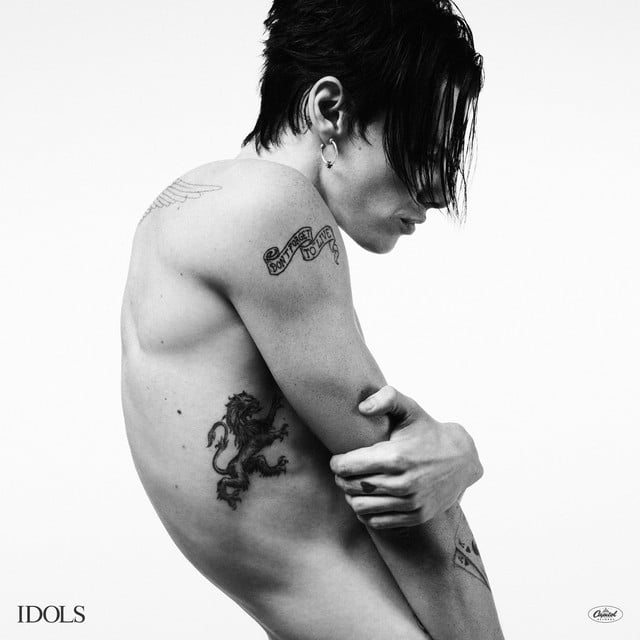 Idols - Cover
