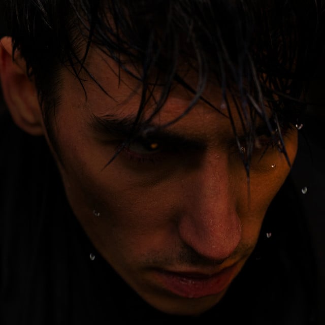 L'âme du phoenix - Cover