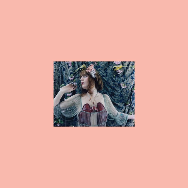 Lungs (10th Anniversary Edition) - Cover