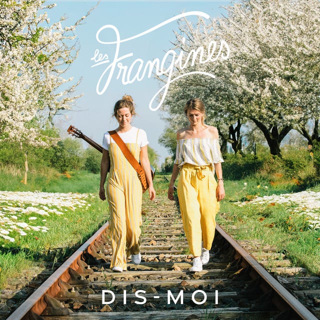 Dis-moi - Cover