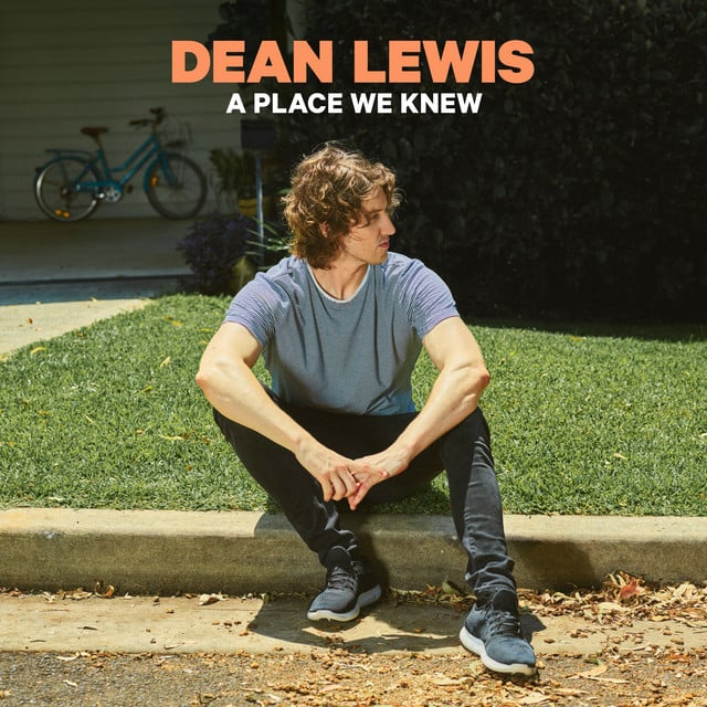 A Place We Knew - Cover