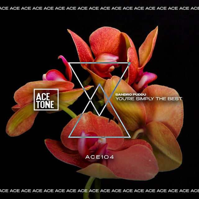 You're Simply the Best - Original Mix - Cover