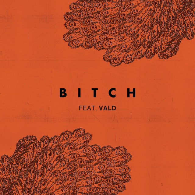 Bitch (feat. Vald) - Cover