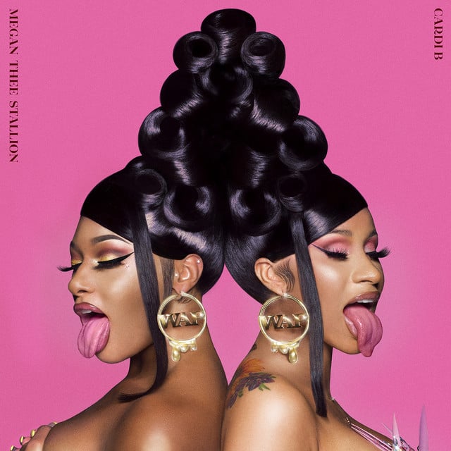 WAP (feat. Megan Thee Stallion) - Cover