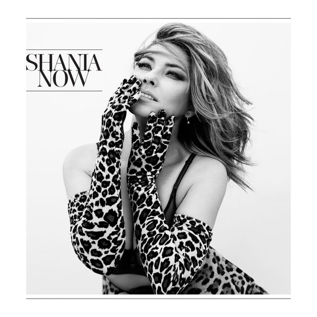 Now (Deluxe) - Cover