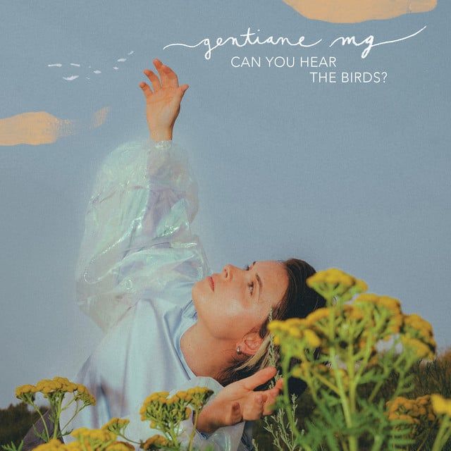 Can You Hear the Birds? - Cover