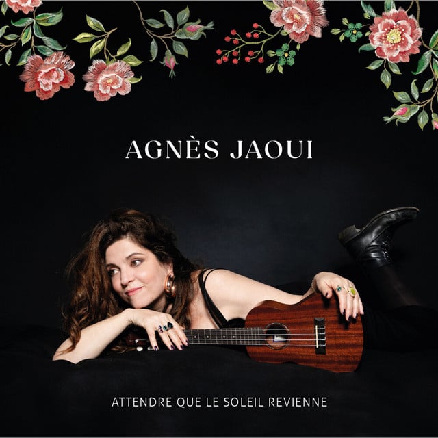 Attendre que le soleil revienne - Cover