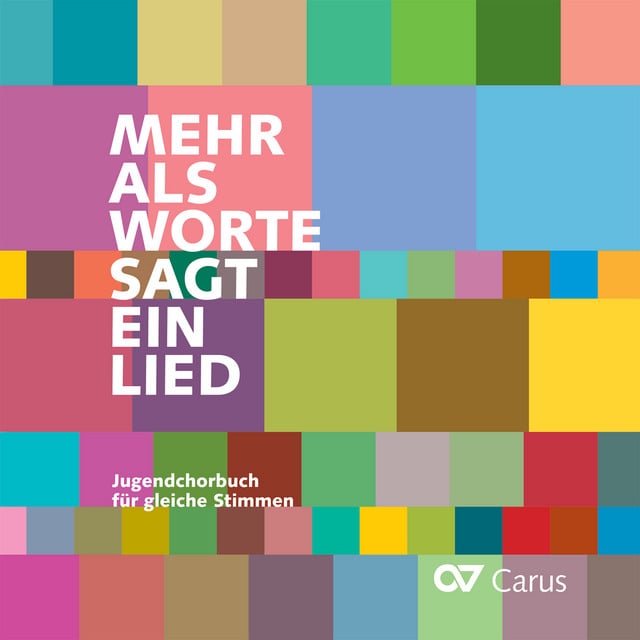 Mehr als Worte sagt ein Lied - Cover