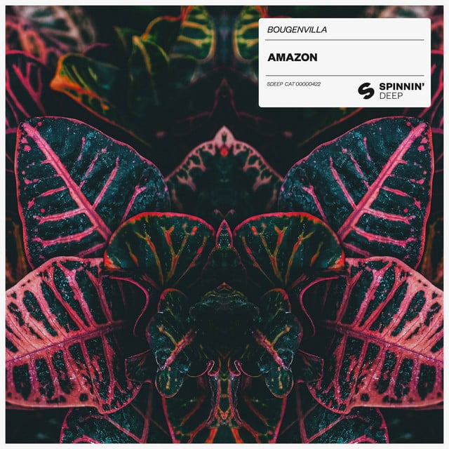 Amazon - Cover