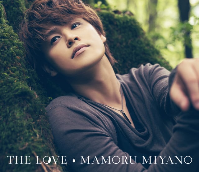 THE LOVE - Cover