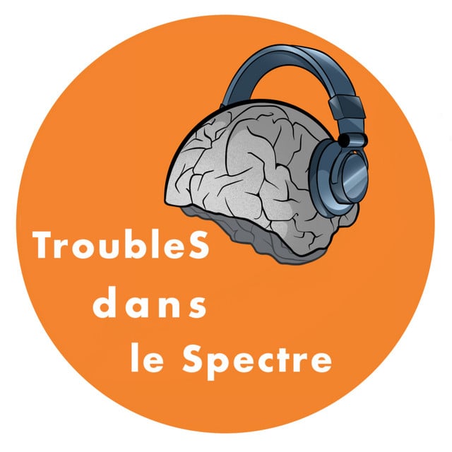 TroubleS dans le Spectre - Cover