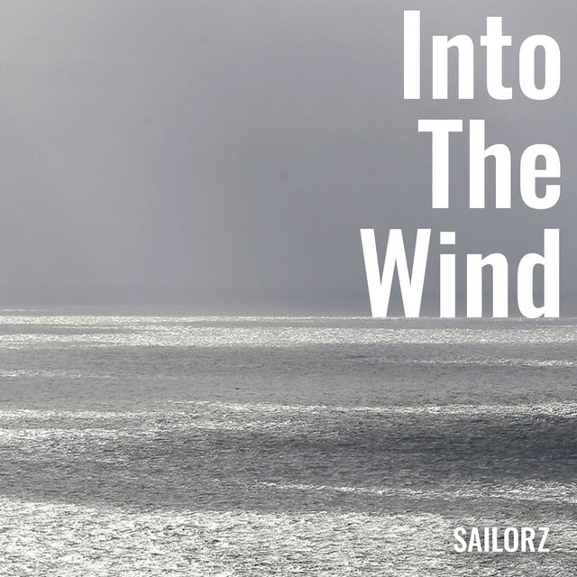 Into The Wind - Cover
