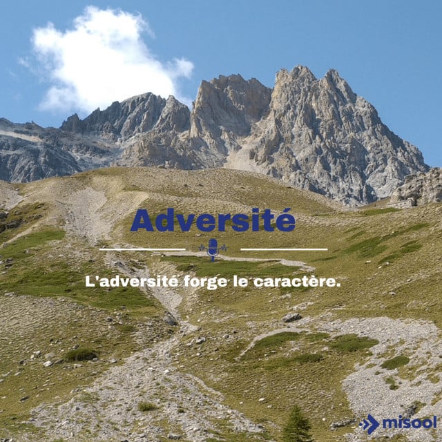 Adversité - Cover
