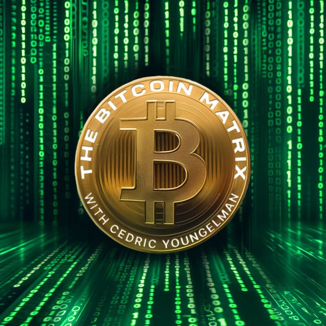 The Bitcoin Matrix - Cover