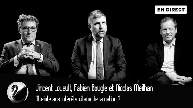 Vincent Louault, Fabien Bouglé et N. Meilhan : Atteinte aux intérêts vitaux de la nation ? - Cover