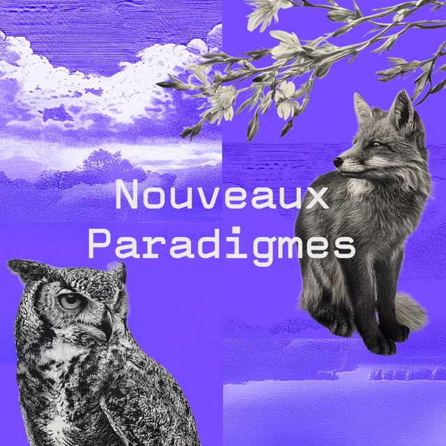 Nouveaux Paradigmes - Cover