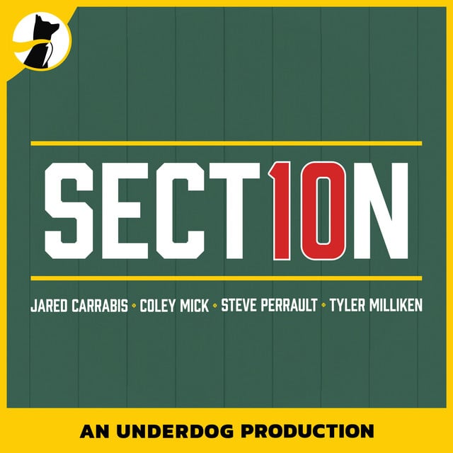 Section 10 - Cover