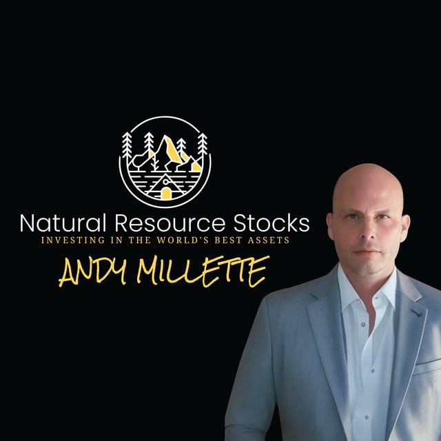 Natural Resource Stocks - Cover