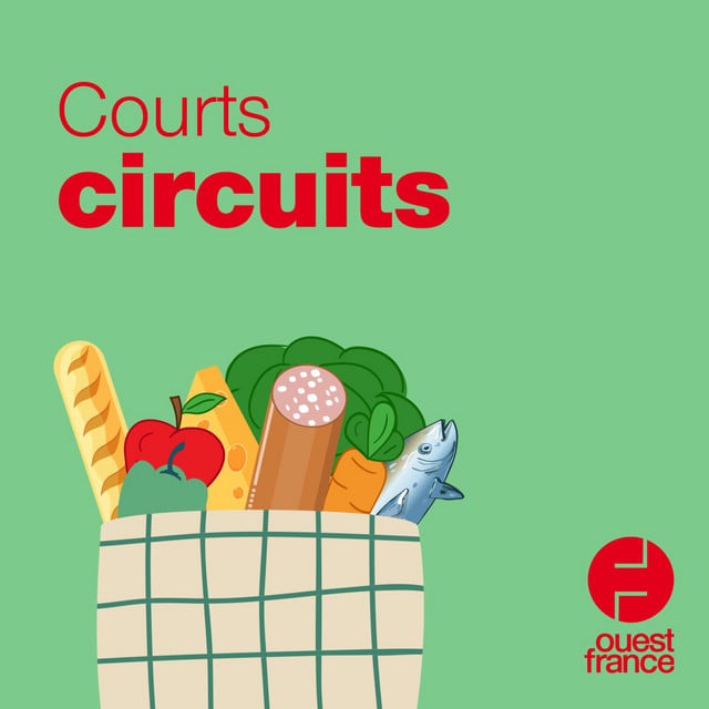 Courts circuits - Cover