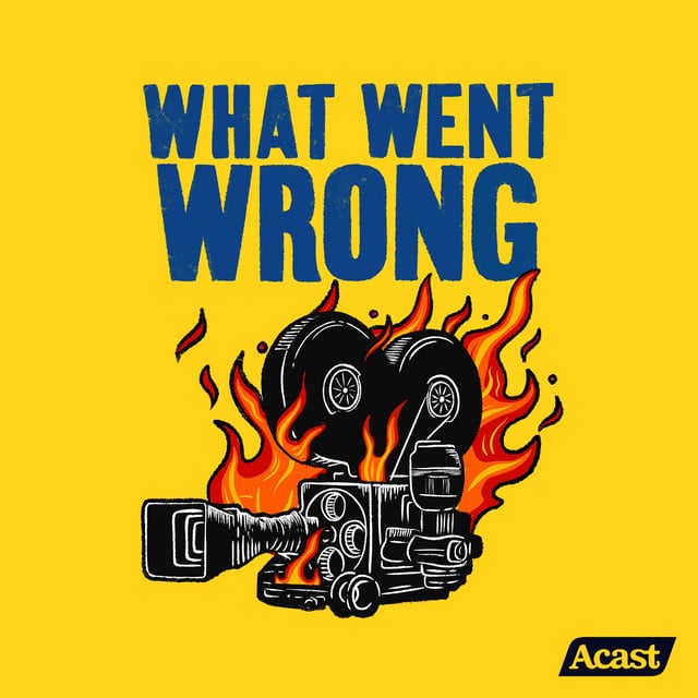 WHAT WENT WRONG - Cover
