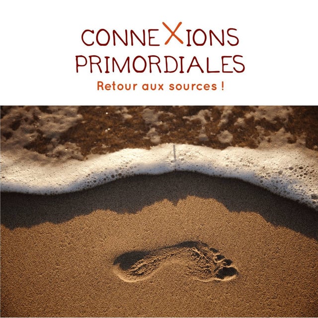 Connexions primordiales : réflexes archaïques, IMP, mouvement, apprentissage - Cover