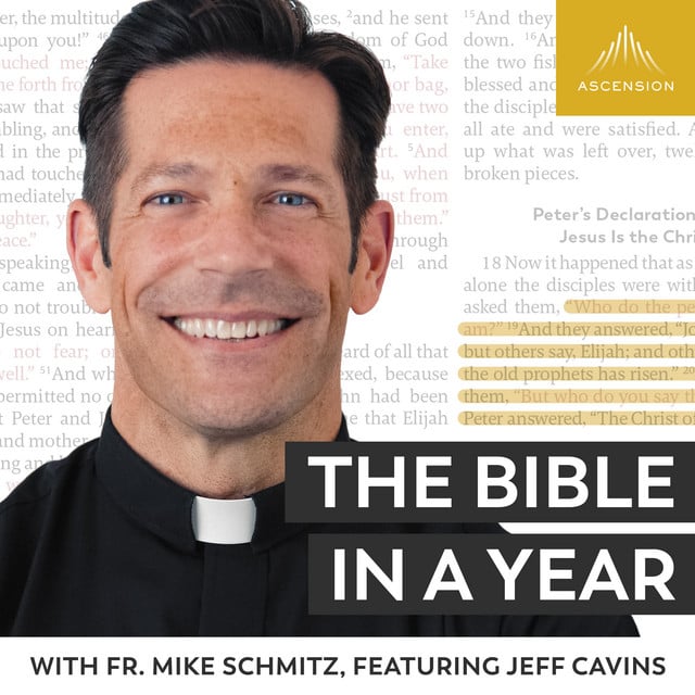 The Bible in a Year (with Fr. Mike Schmitz) - Cover