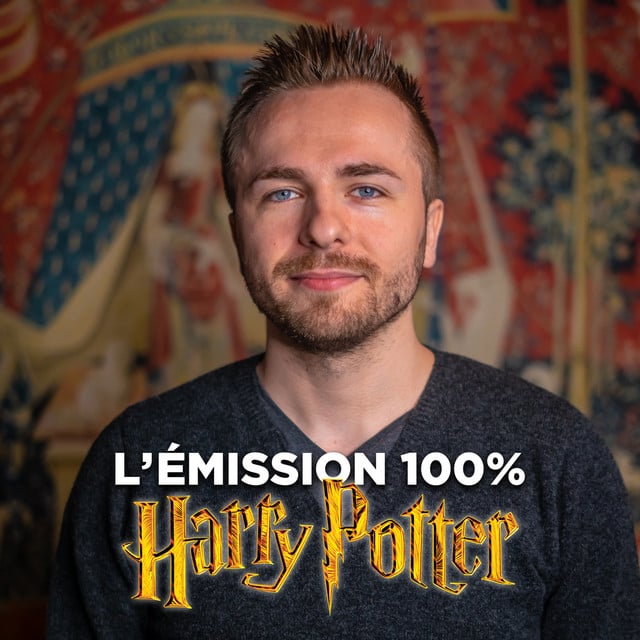 Vous-Savez-Qui, l'émission 100% Harry Potter ! - Cover