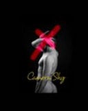 Camera Shy - Cover
