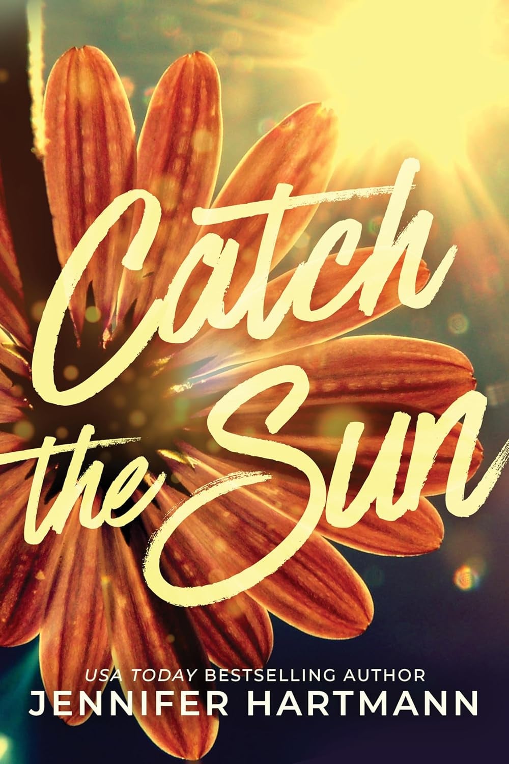 Catch the Sun - Cover