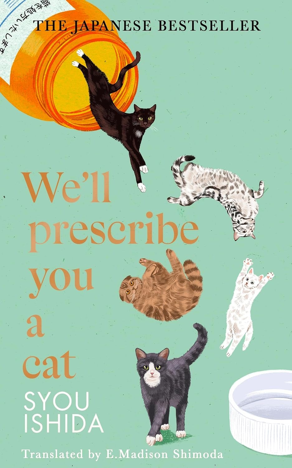 We'll Prescribe You a Cat - Cover