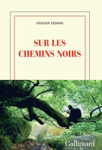 Sur les chemins noirs - Cover