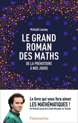 Le grand roman des maths de la préhistoire à nos jours - Cover