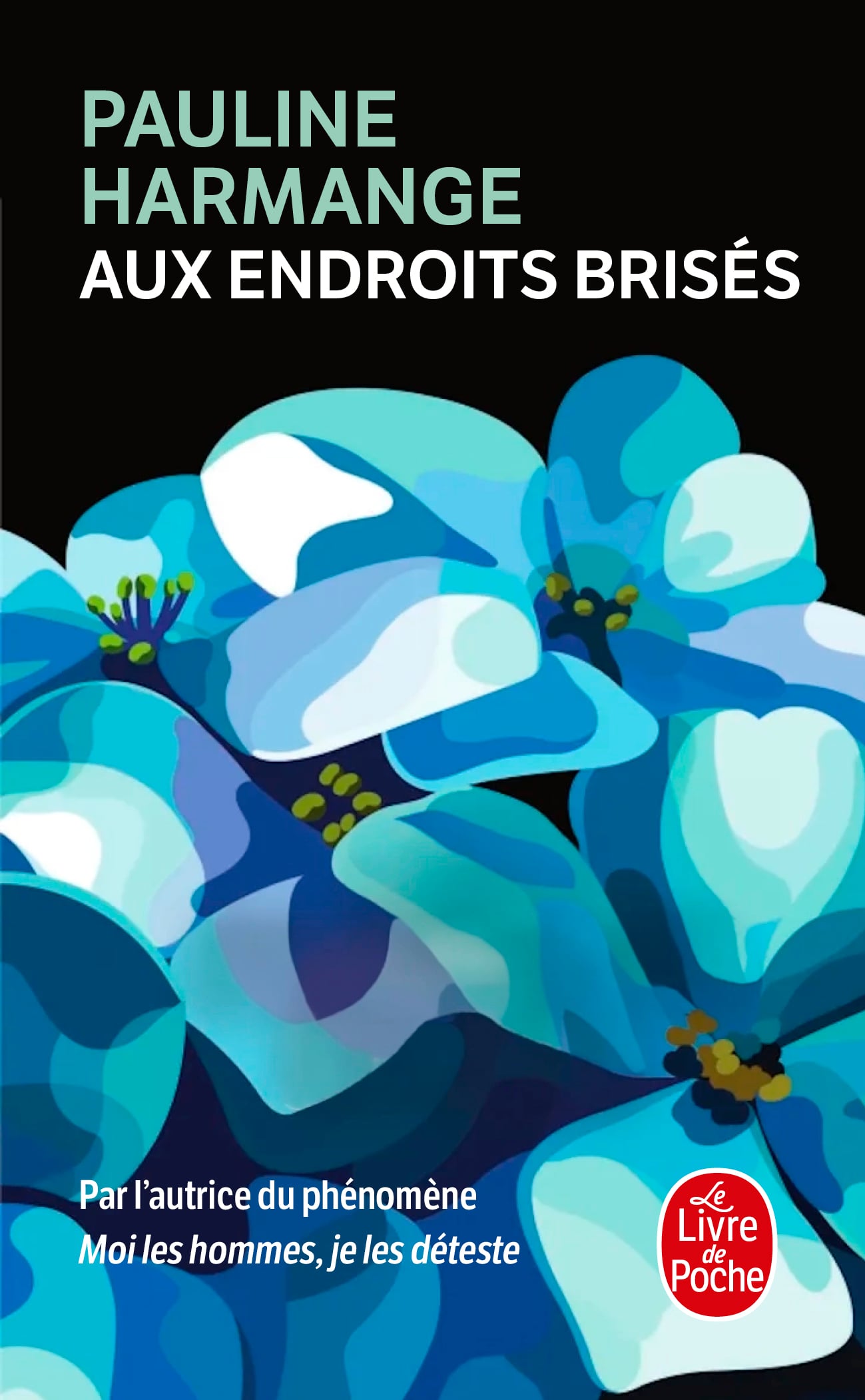 Aux endroits brisés - Cover