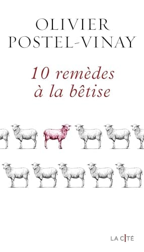 Dix remèdes contre la connerie : un essai pour aiguiser son esprit critique (La Cité) - Cover