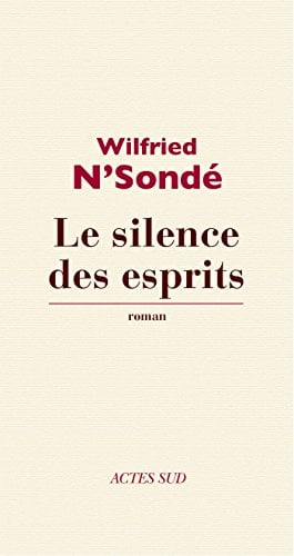 Le silence des esprits (Lettres africaines) - Cover