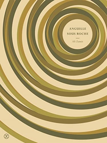 Anguille sous roche roman - Cover